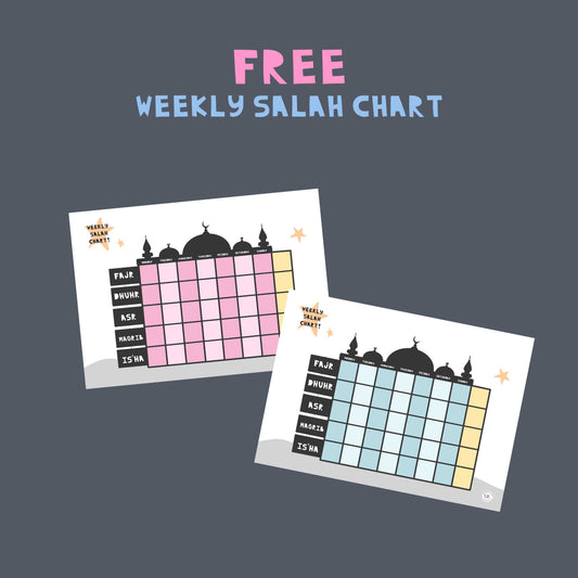 Salah chart tracker